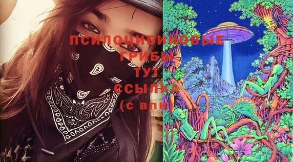 PSILOCYBIN Арсеньев