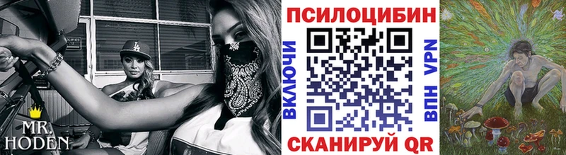 Псилоцибиновые грибы Psilocybine cubensis Саки